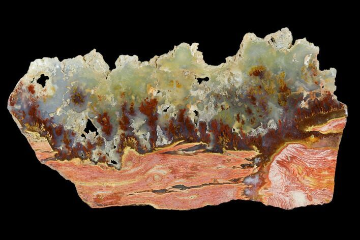 Carey Plume Agate Slab - Carey Ranch, Oregon #114756